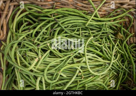 Yard long beans, pea bean, long-podded cowpea, Chinese long bean, snake bean, bodi in a basket on a food market, Spain. Stock Photo