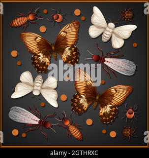 Set of different insects in wooden frame background Stock Vector