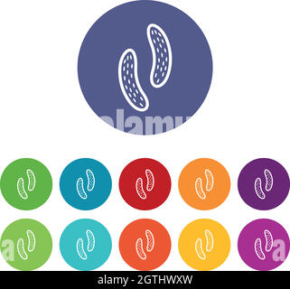 Epithelial cell set icons Stock Vector