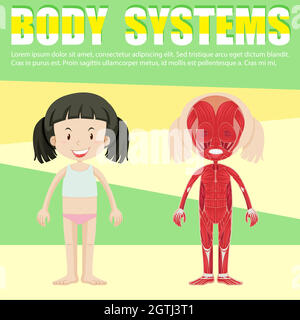 Anatomy human body. Infographic with girl and visual structure internal