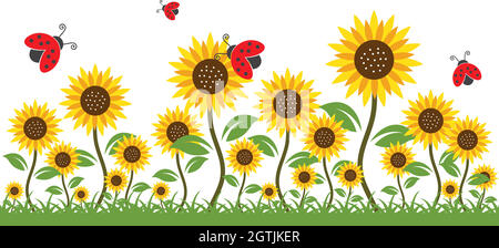 sunflowers background vector illustration Stock Vector