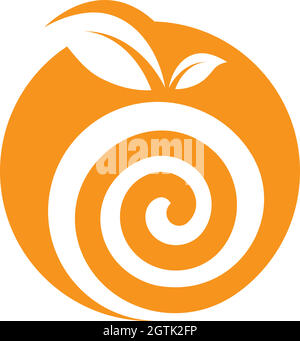 orange fruit  vector logo illustration concept  design Stock Vector