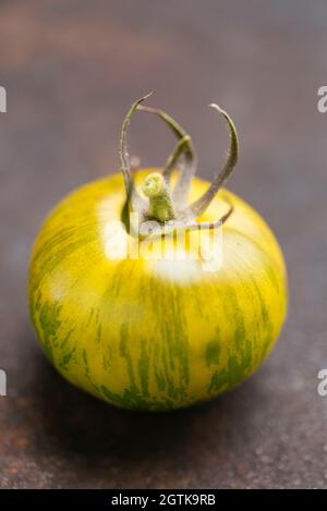 Heirloom tomato variety Tigerella originating from Greece.
