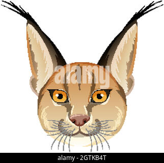 Caracal cat head on white background Stock Vector