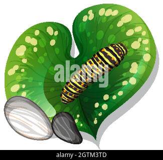 Top view of caterpillar on a leaf isolated Stock Vector