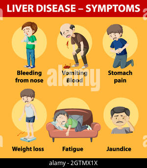 Liver disease symptoms cartoon style cartoon style infographic Stock Vector