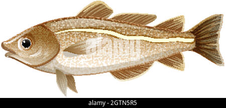 Arctic cod fish Stock Vector Images - Alamy