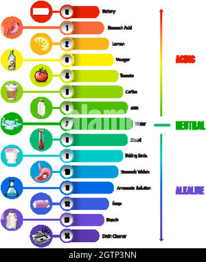 The pH scale on white background Stock Vector