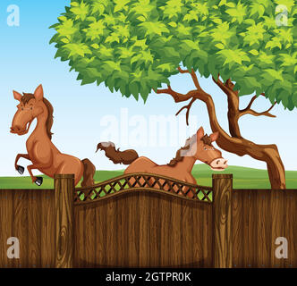 Two brown horse in the field Stock Vector