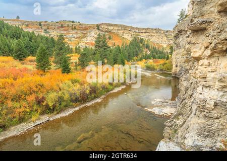 limestone canyon and fall colors along belt creek in sluice boxes state park near monarch, montana Stock Photo