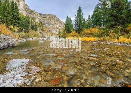 limestone canyon and fall colors along belt creek in sluice boxes state park near monarch, montana Stock Photo