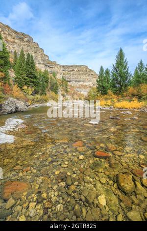 limestone canyon and fall colors along belt creek in sluice boxes state park near monarch, montana Stock Photo