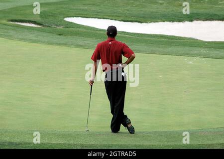 Tiger Woods at the 2004 EDS Byron Nelson Championship Stock Photo