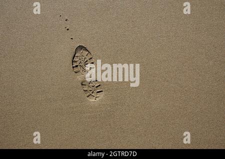 Footprint in the Sand (monochrome) Stock Photo