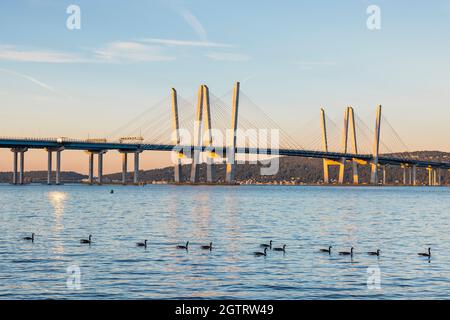 A flock of Canada Geese swim on the Hudson River just after sunrise, in front of the sunlit towers of the Governor Mario M. Cuomo Bridge. Stock Photo