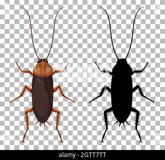 Cockroach with its silhouette isolated on transparent background Stock Vector