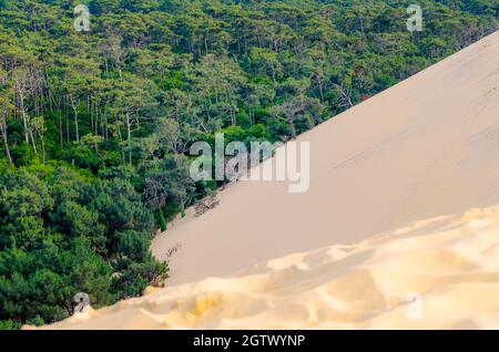 The Dune of Pilat, also called Grande Dune du Pilat, the tallest sand dune in Europe. Stock Photo