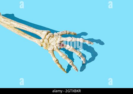 A skeleton hand with a beautiful golden ring and a ruby stone on the middle finger. Romantic Haloween trendy party invitation concept. Extravagant vis Stock Photo