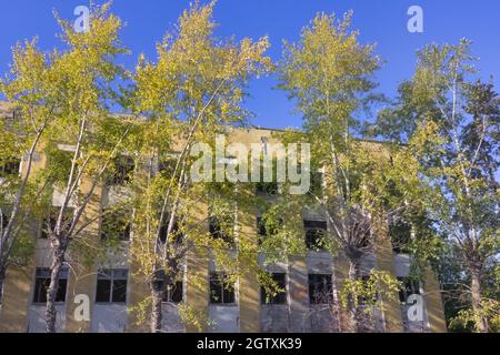 The ruins of a destroyed building in the city. Old abandoned collapsing building. Landscape with the ruins of the old buildings. Stock Photo