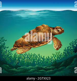 Turtle Stock Vector