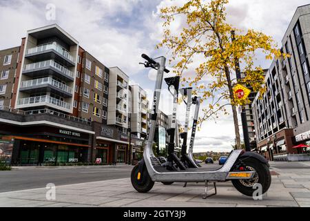 Calgary Alberta Canada, October 1 2021: E-scooters parked under a tree in fall colours at the new University District in a Canadian city. Stock Photo