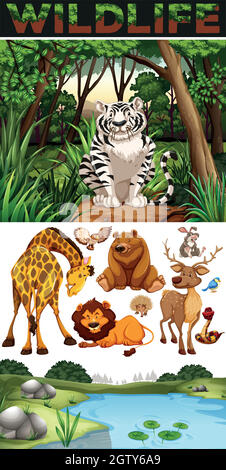 Wild animals in the jungle Stock Vector