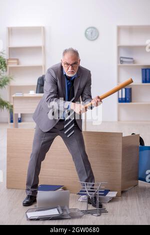 Old businessman employee holding baseball bat in the office Stock Photo