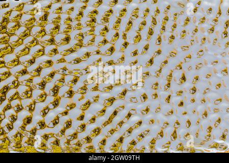High-Fired Ceramic Shiny Gold  Serveware Close-up Stock Photo