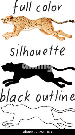 Set of leopard in color, silhouette and black outline on white background Stock Vector