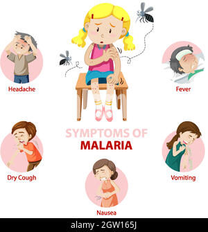 Malaria symptom information infographic Stock Vector