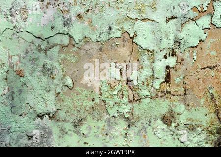Damaged and moldy background and wall texture outdoor Stock Photo