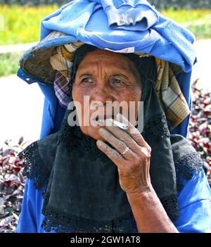 An elderly Minangkabau rice farmer woman smoking a cigarette near the town of Bukittinggi in West Sumatra, Indonesia. Rice fields are behind her.