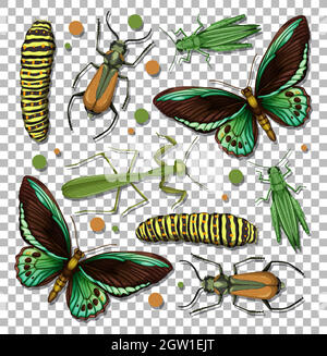 Set of different insects on transparent background Stock Vector