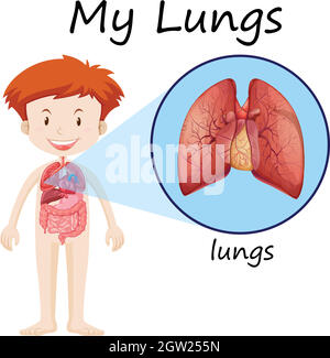 Little boy and lungs diagram Stock Vector