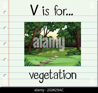 Flashcard letter V is for vegetation Stock Vector