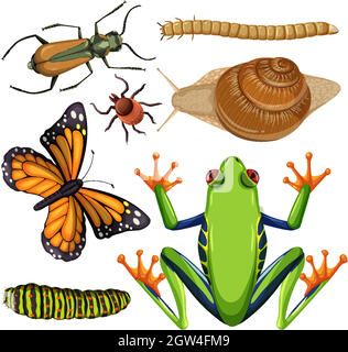 Set of different insects on white background Stock Vector