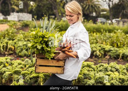 Cheerful young chef carrying a crate full of freshly picked vegetables on an organic farm. Self-sustainable female chef leaving an agricultural field Stock Photo