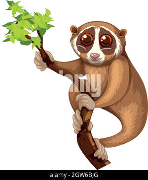Wild loris on the branch Stock Vector