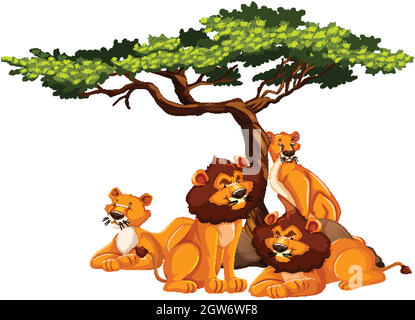 Lion under the tree isolated Stock Vector