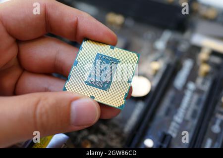 Working on the motherboard and pc processor Stock Photo