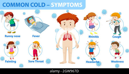 Common cold symptoms cartoon style infographic Stock Vector