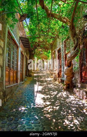 Famous old town of Molyvos, Lesvos island, Greece. Stock Photo
