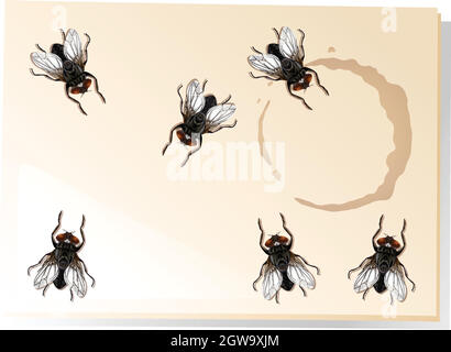 Many flies on the water stain Stock Vector