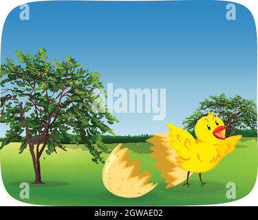 Chick hatching egg in the nature Stock Vector