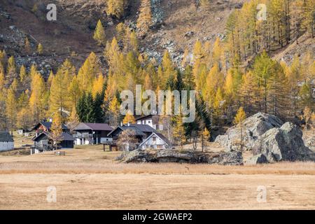 The Colours Of Autumn At The Alpe Devero, Little Village In The Mountains