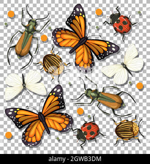 Set of different insects on transparent background Stock Vector