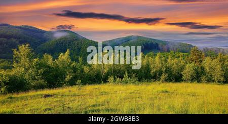 forest on the grassy meadow in the forenoon. beautiful rural landscape in summer. mist spreads from the distant mountains above the treetops beneath a Stock Photo