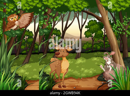 Wild animals in the jungle Stock Vector