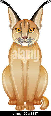 Caracal cat on white background Stock Vector