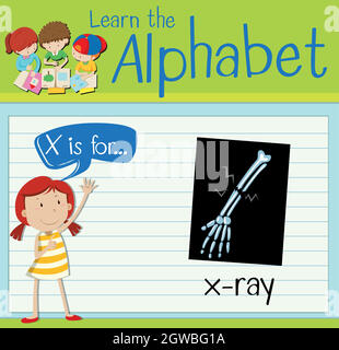 Flashcard letter X is for x-ray Stock Vector